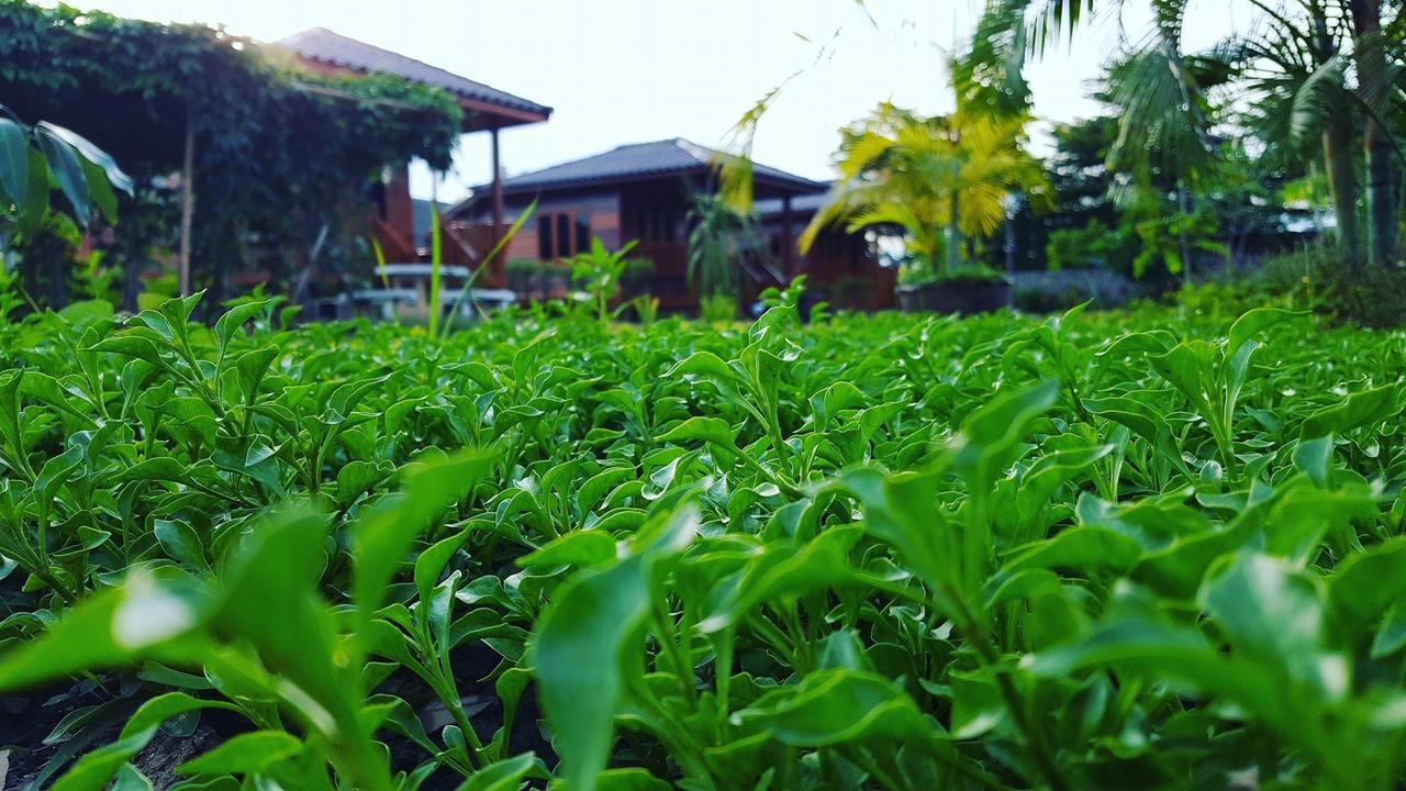 บ้านสวนมีดี ลำพูน Meedee Homestay Lamphun Ban Nong Pla Kho Dış mekan fotoğraf