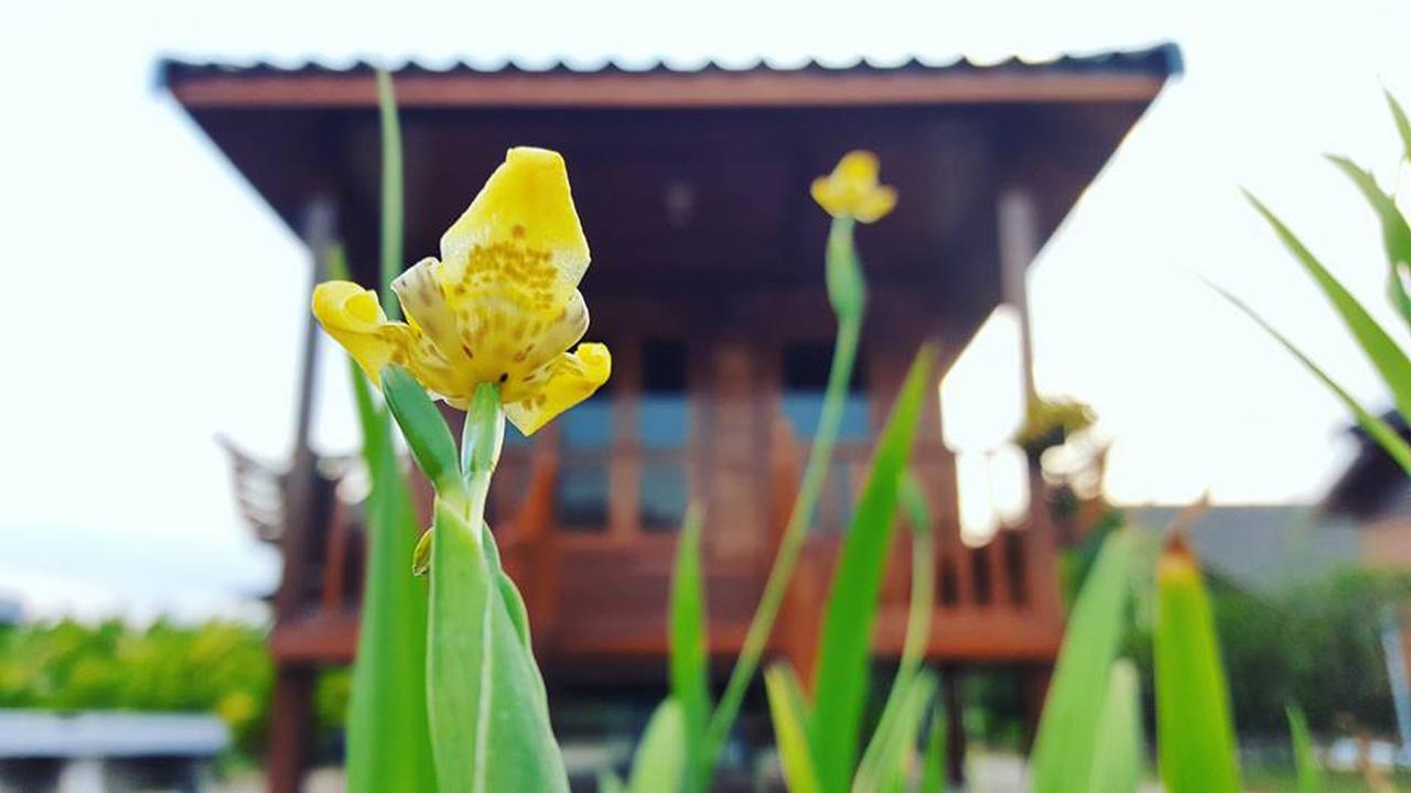 บ้านสวนมีดี ลำพูน Meedee Homestay Lamphun Ban Nong Pla Kho Dış mekan fotoğraf
